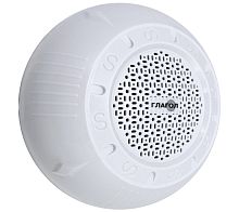 Громкоговоритель Глагол ПН-3