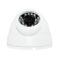 DVI-D225 POE LV v2.0 OEM