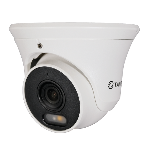 Видеокамера IP TSi-Ee50FP