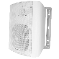 Громкоговоритель TSo-SW30k