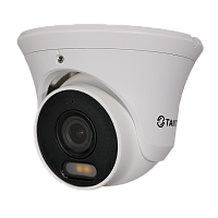 Видеокамера IP TSi-Ee25FPN