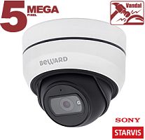 Видеокамера IP SV3212DB