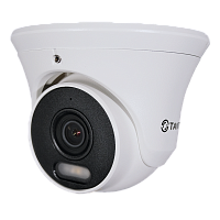 Видеокамера IP TSi-Ee50FPN