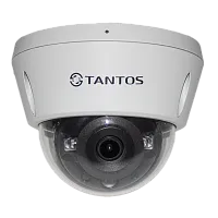 Видеокамера сетевая (IP) TSi-Veco45FP