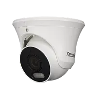 Видеокамера сетевая (IP) FE-IPC-D2-30p
