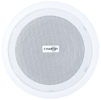 Громкоговоритель Глагол П-5