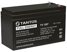 Аккумуляторная батарея TS 1207 ∙ Аккумулятор 12В 7 А∙ч