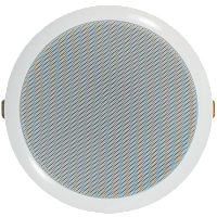 Громкоговоритель TSo-PW10a