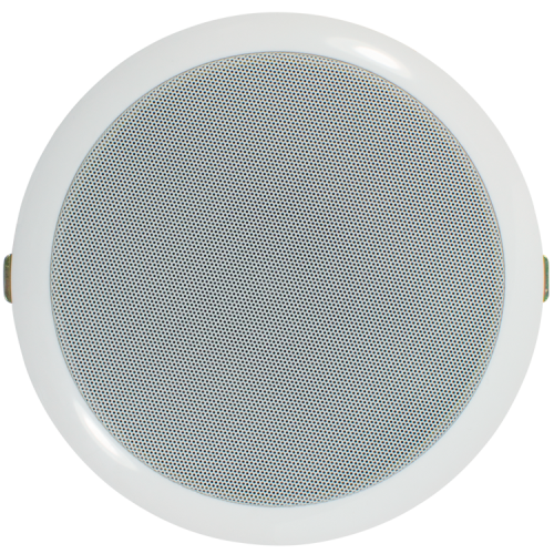 Громкоговоритель TSo-PW10a