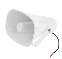 Громкоговоритель TSo-HW15